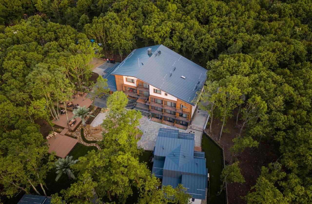 Utopia Forest Μπουργκάς Εξωτερικό φωτογραφία