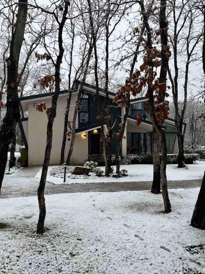Utopia Forest Μπουργκάς Εξωτερικό φωτογραφία